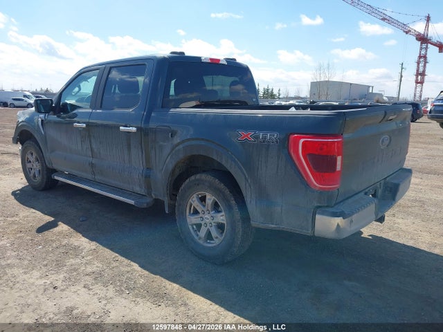 Продаж на аукціоні авто 2021 Ford F-150 Xlt, vin: 1FTEW1EB7MKD88360, номер лоту: 12597848