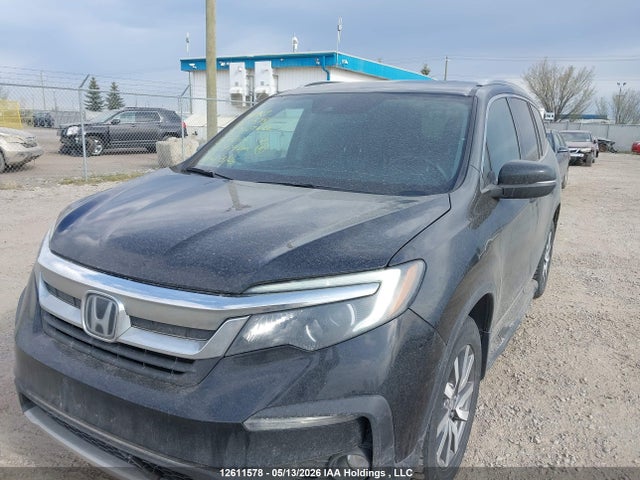 5FNYF6H79KB508106 Honda PILOT EXL