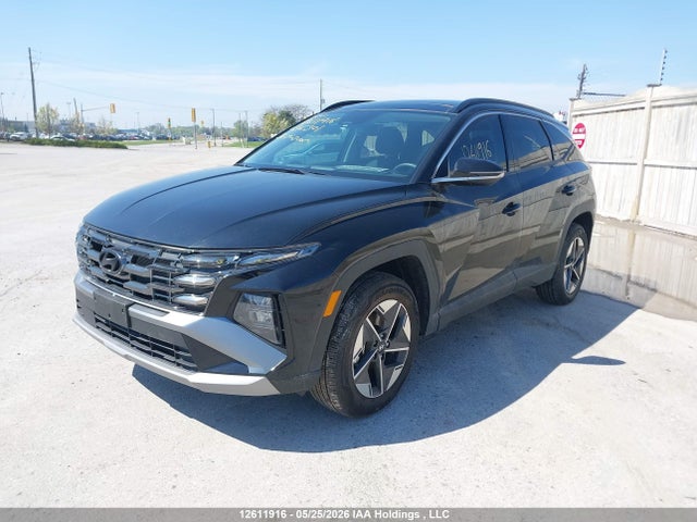 Hyundai Tucson Preferred Awd With Trend Package 2026 3KMJCCDE0TE036301 Image 6
