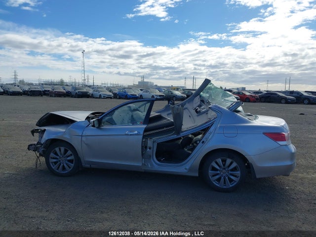 Продаж на аукціоні авто 2012 Honda Accord Exl, vin: 1HGCP3F8XCA800537, номер лоту: 12612038