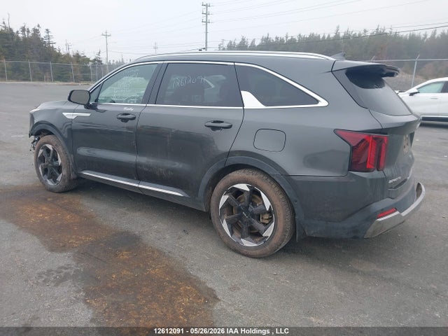 2026 Kia Sorento Hev Sx მანქანა იყიდება აუქციონზე, vin: KNDRHDJG7T5431753, აუქციონის ნომერი: 12612091