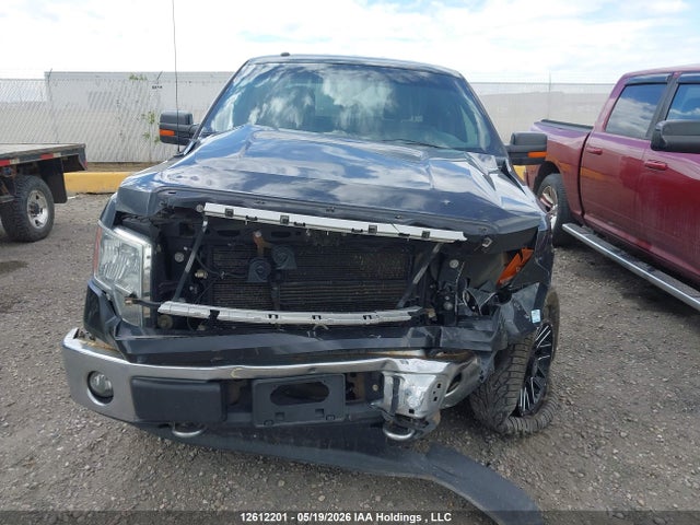 12612201 :رقم المزاد ، 1FTFW1EF0EKF99571 vin ، 2014 Ford F-150 Xlt مزاد بيع