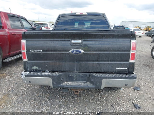 12612201 :رقم المزاد ، 1FTFW1EF0EKF99571 vin ، 2014 Ford F-150 Xlt مزاد بيع