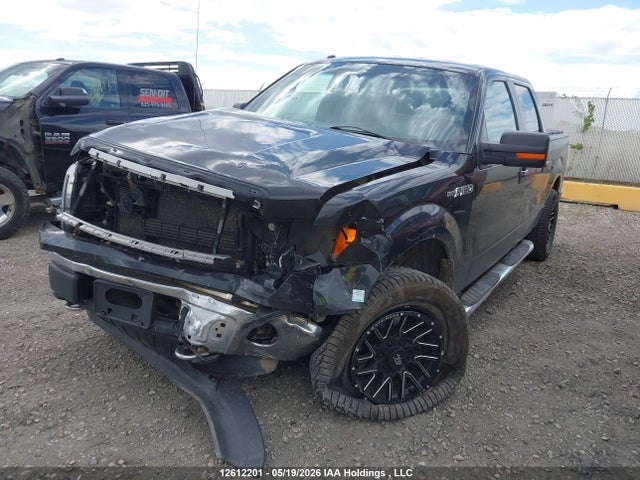 12612201 :رقم المزاد ، 1FTFW1EF0EKF99571 vin ، 2014 Ford F-150 Xlt مزاد بيع