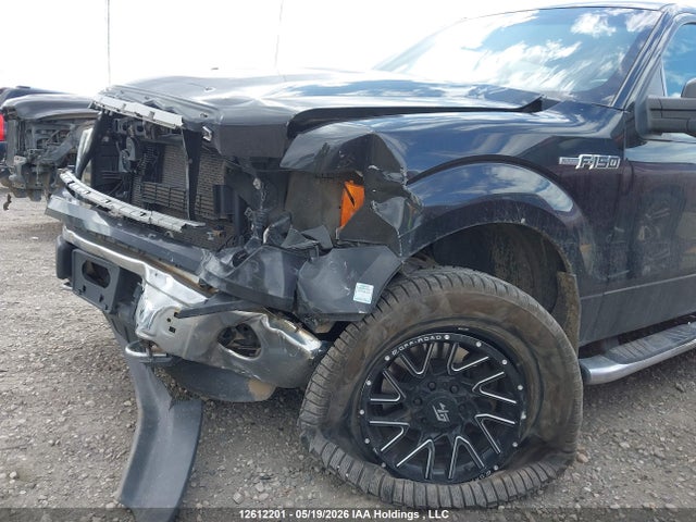 12612201 :رقم المزاد ، 1FTFW1EF0EKF99571 vin ، 2014 Ford F-150 Xlt مزاد بيع