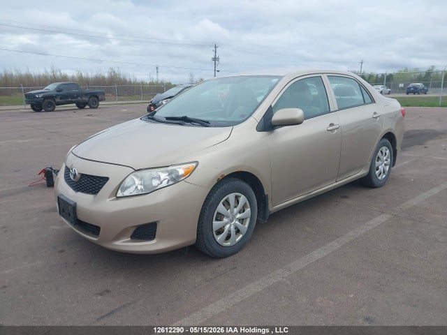 12612290 :رقم المزاد ، 2T1BU40E59C075179 vin ، 2009 Toyota Corolla Ce مزاد بيع