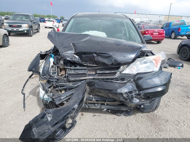 12612298 :رقم المزاد ، 5J6RE4H76AL818344 vin ، 2010 Honda Cr-v Exl مزاد بيع
