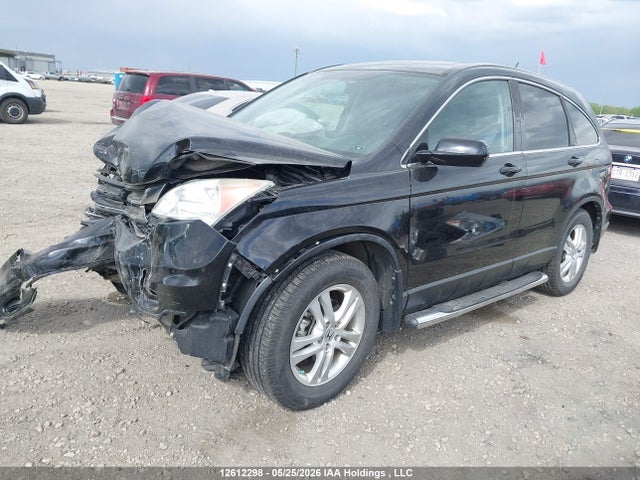 12612298 :رقم المزاد ، 5J6RE4H76AL818344 vin ، 2010 Honda Cr-v Exl مزاد بيع