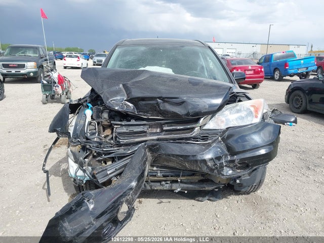 12612298 :رقم المزاد ، 5J6RE4H76AL818344 vin ، 2010 Honda Cr-v Exl مزاد بيع
