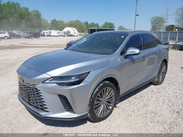 Auction sale of the 2024 Lexus Rx 350h Base/350h Premium/350h Premium Plus/350h Luxury, vin: 2T2BBMCA1RC032811, lot number: 12612337