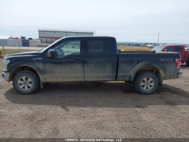 Продажа на аукционе авто 2018 Ford F-150 Xlt, vin: 1FTFW1E56JKF31809, номер лота: 12599210