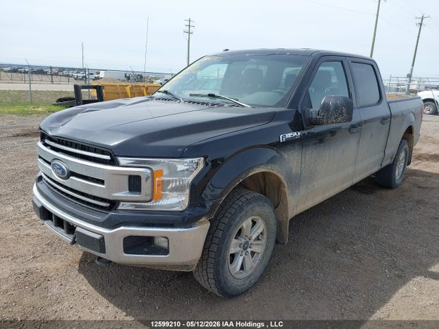 Продажа на аукционе авто 2018 Ford F-150 Xlt, vin: 1FTFW1E56JKF31809, номер лота: 12599210