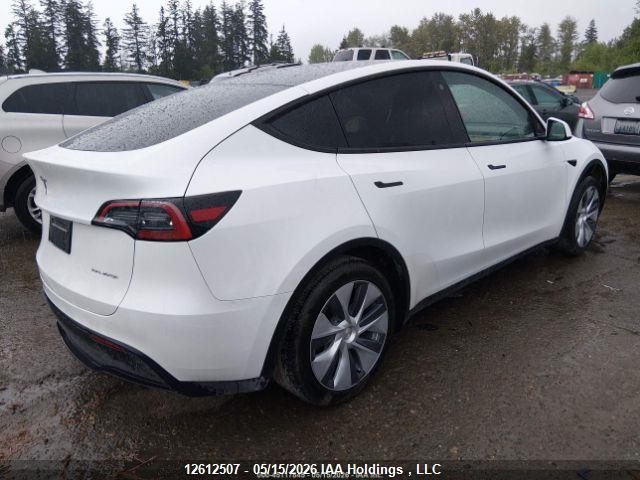 Aukcja sprzedaży 2023 Tesla Model Y, vin: LRWYGDEEXPC264911, numer aukcji: 12612507