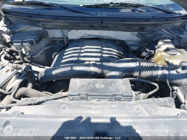Продажа на аукционе авто 2013 Ford F-150 Xlt, vin: 1FTFX1ET2DFA24933, номер лота: 12612551