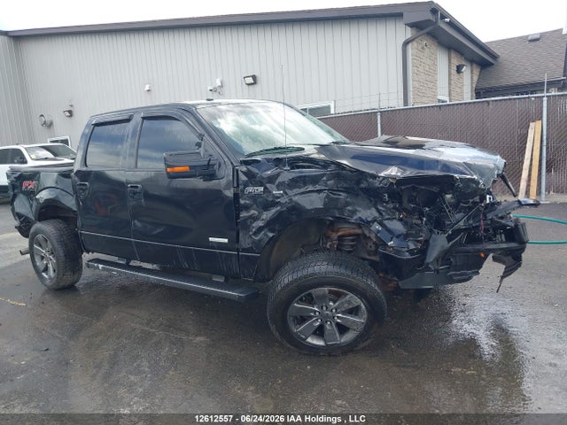 2014 Ford F-150 Fx4 მანქანა იყიდება აუქციონზე, vin: 1FTFW1ETXEFC53820, აუქციონის ნომერი: 12612557