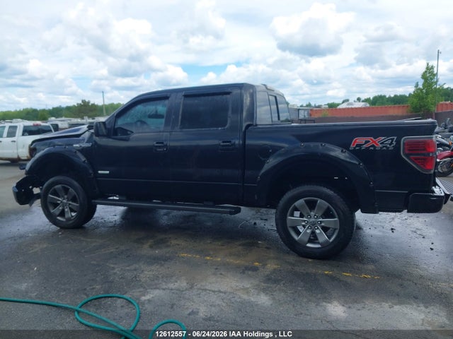 2014 Ford F-150 Fx4 მანქანა იყიდება აუქციონზე, vin: 1FTFW1ETXEFC53820, აუქციონის ნომერი: 12612557