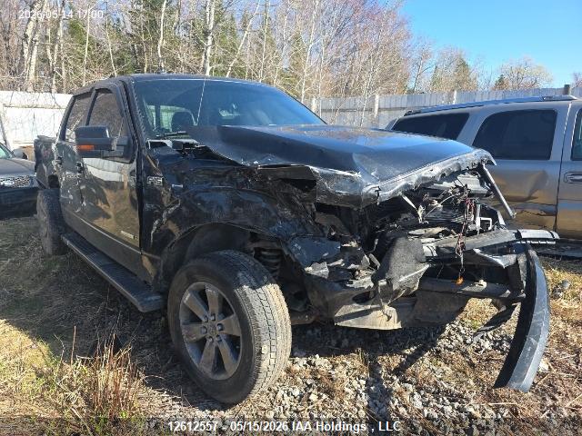 Продаж на аукціоні авто 2014 Ford F-150 Fx4, vin: 1FTFW1ETXEFC53820, номер лоту: 12612557