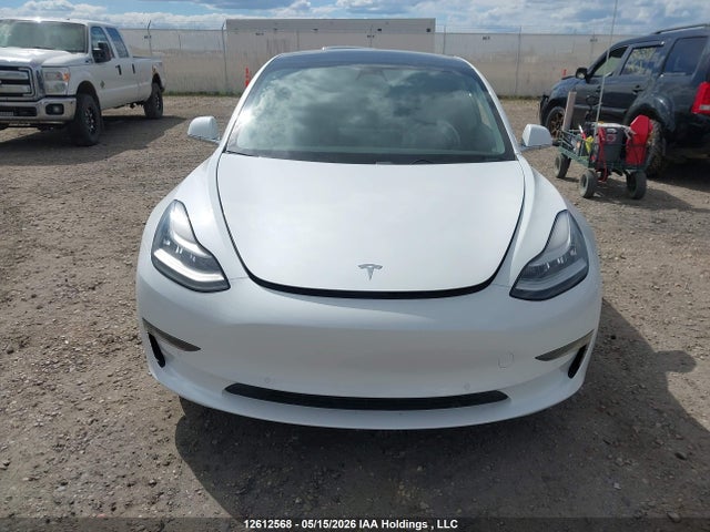 Продаж на аукціоні авто 2019 Tesla Model 3, vin: 5YJ3E1EA3KF529274, номер лоту: 12612568