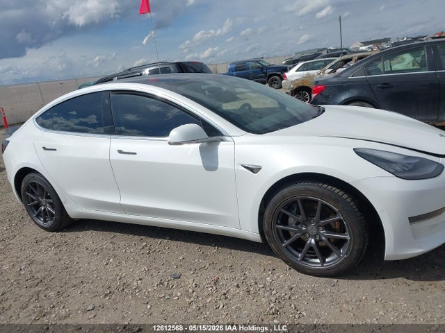 Продаж на аукціоні авто 2019 Tesla Model 3, vin: 5YJ3E1EA3KF529274, номер лоту: 12612568