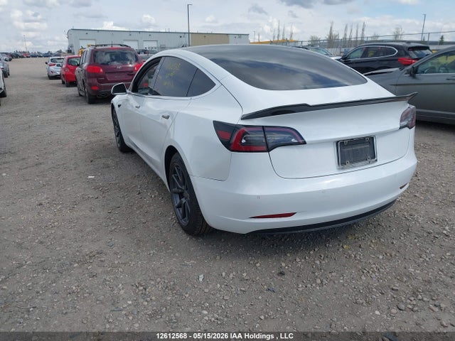 Продаж на аукціоні авто 2019 Tesla Model 3, vin: 5YJ3E1EA3KF529274, номер лоту: 12612568