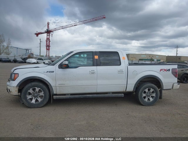 Продажа на аукционе авто 2012 Ford F-150 Fx4, vin: 1FTFW1ET5CFB75766, номер лота: 12612592