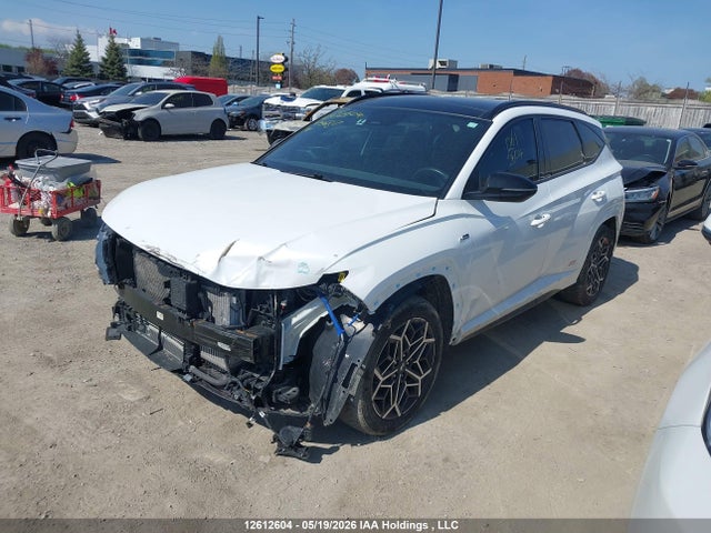 Продаж на аукціоні авто 2024 Hyundai Tucson N-line Awd, vin: KM8JCCD12RU156817, номер лоту: 12612604