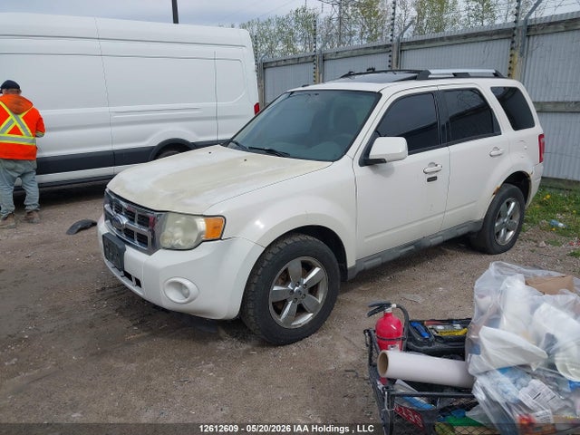 2009 Ford Escape Limited მანქანა იყიდება აუქციონზე, vin: 1FMCU94G49KC33213, აუქციონის ნომერი: 12612609
