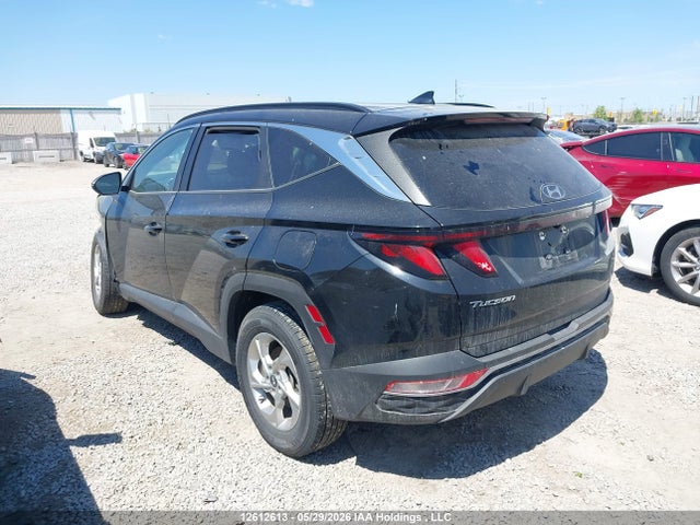 Продаж на аукціоні авто 2023 Hyundai Tucson Sel, vin: KM8JB3AE5PU186692, номер лоту: 12612613