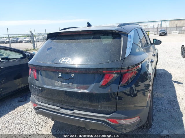 Продаж на аукціоні авто 2023 Hyundai Tucson Sel, vin: KM8JB3AE5PU186692, номер лоту: 12612613