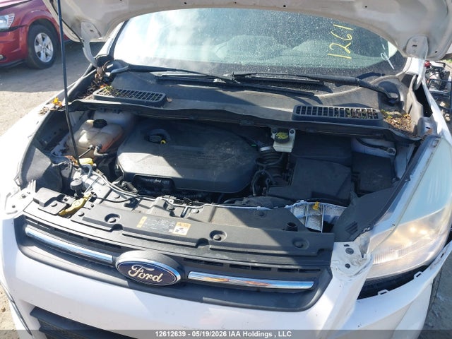 Aukcja sprzedaży 2014 Ford Escape, vin: 1FMCU0GX3EUD96019, numer aukcji: 12612639