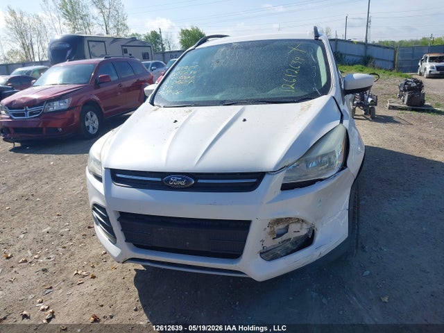 Aukcja sprzedaży 2014 Ford Escape, vin: 1FMCU0GX3EUD96019, numer aukcji: 12612639