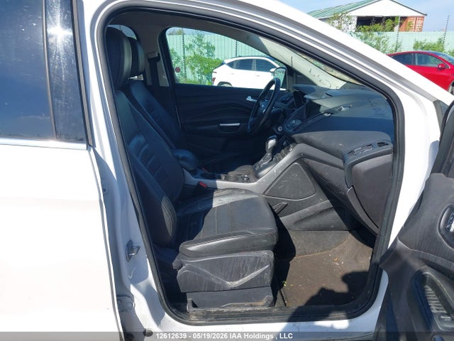 Aukcja sprzedaży 2014 Ford Escape, vin: 1FMCU0GX3EUD96019, numer aukcji: 12612639