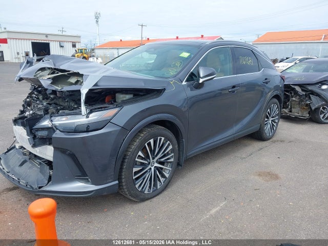 12612681 :رقم المزاد ، 2T2BBMCA5SC097411 vin ، 2025 Lexus Rx 350h مزاد بيع