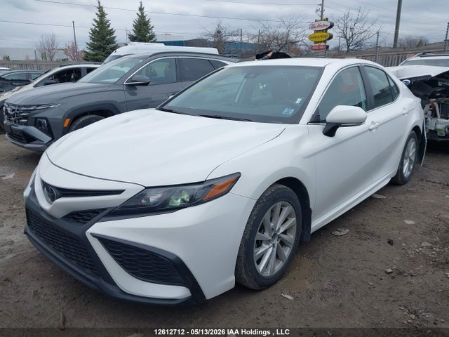 4T1G11AKXRU240515 Toyota Camry Se Night Shade/se
