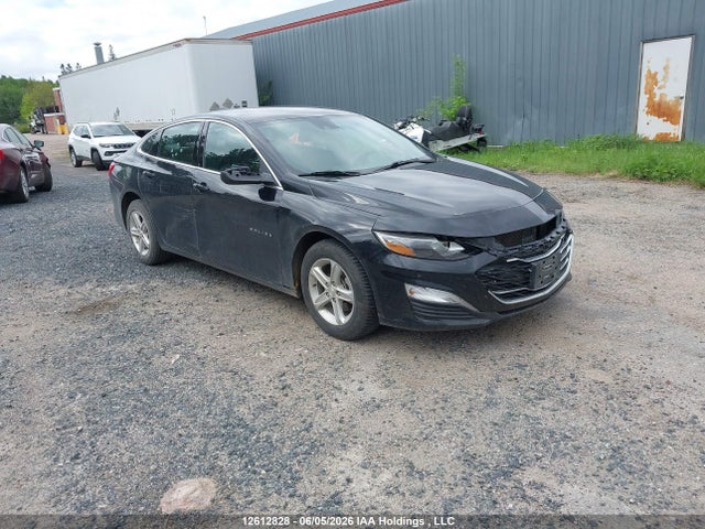 2024 1G1ZB5ST7RF157114 main image