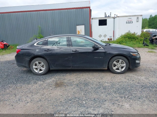 12612828 :رقم المزاد ، 1G1ZB5ST7RF157114 vin ، 2024 Chevrolet Malibu Ls مزاد بيع