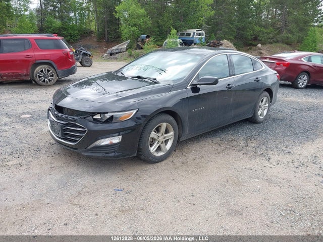 12612828 :رقم المزاد ، 1G1ZB5ST7RF157114 vin ، 2024 Chevrolet Malibu Ls مزاد بيع