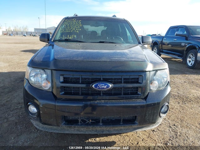 Продажа на аукционе авто 2009 Ford Escape Xlt Automatic, vin: 1FMCU93GX9KC33055, номер лота: 12612959