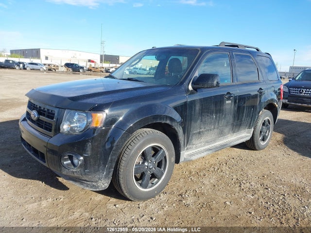 Продажа на аукционе авто 2009 Ford Escape Xlt Automatic, vin: 1FMCU93GX9KC33055, номер лота: 12612959