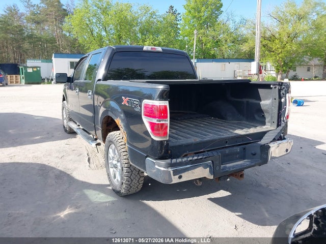 Aukcja sprzedaży 2013 Ford F150 Supercrew, vin: 1FTFW1ET5DFD05319, numer aukcji: 12613071