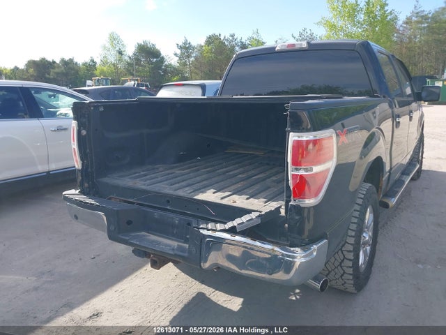 Aukcja sprzedaży 2013 Ford F150 Supercrew, vin: 1FTFW1ET5DFD05319, numer aukcji: 12613071