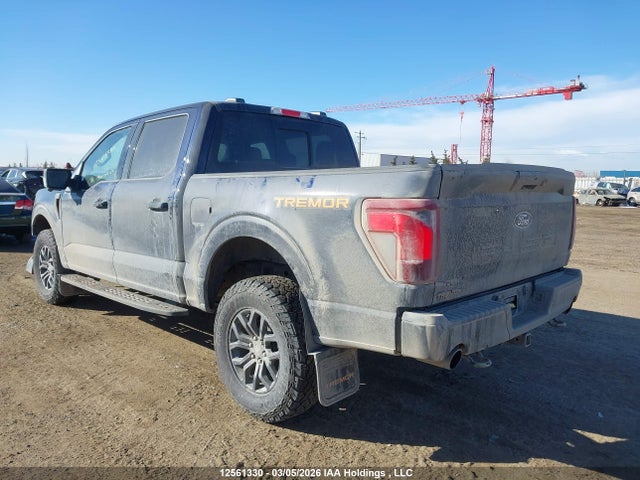 Продажа на аукционе авто 2025 Ford F-150 Tremor, vin: 1FTFW4L8XSFA82658, номер лота: 12561330