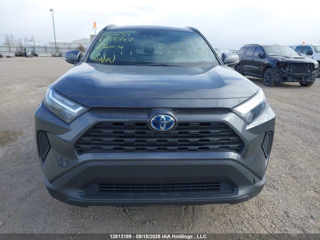 12613189 :رقم المزاد ، 2T3RWRFV8RW193987 vin ، 2024 Toyota Rav4 Hybrid مزاد بيع