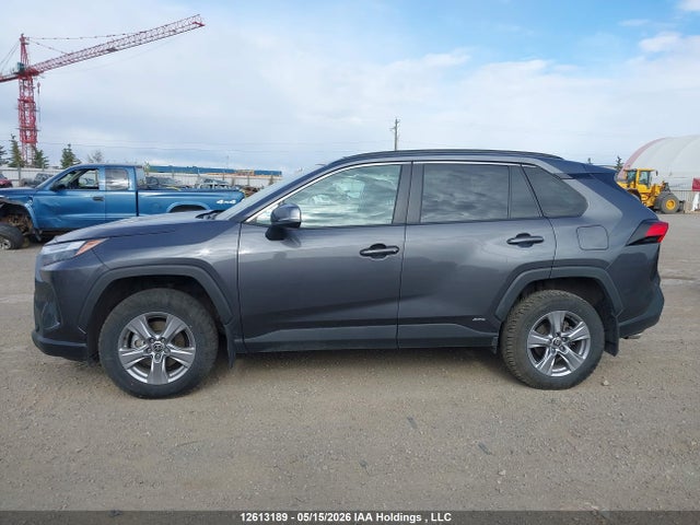 12613189 :رقم المزاد ، 2T3RWRFV8RW193987 vin ، 2024 Toyota Rav4 Hybrid مزاد بيع