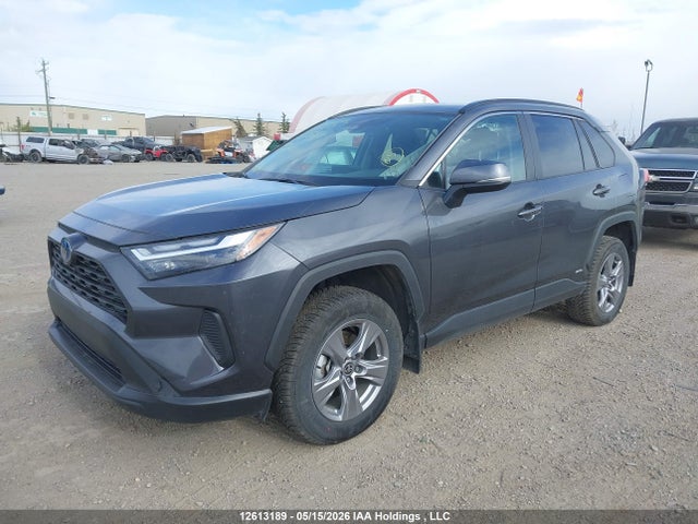 12613189 :رقم المزاد ، 2T3RWRFV8RW193987 vin ، 2024 Toyota Rav4 Hybrid مزاد بيع
