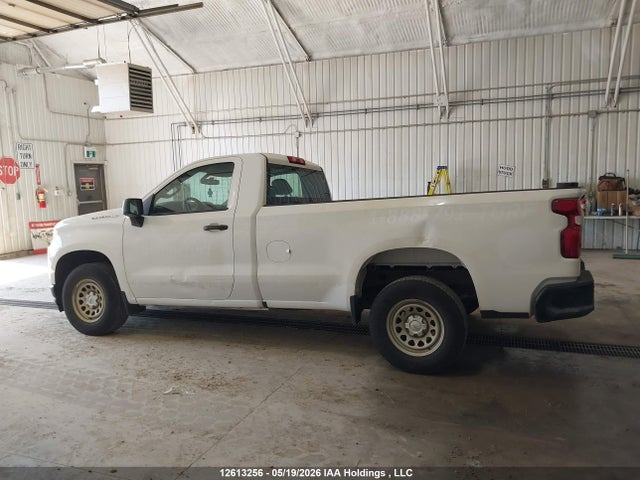 12613256 :رقم المزاد ، 3GCNWAEH7LG252546 vin ، 2020 Chevrolet Silverado C1500 مزاد بيع