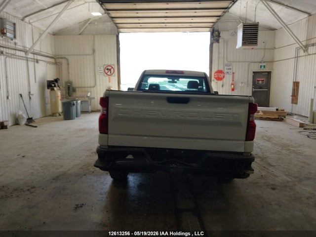 12613256 :رقم المزاد ، 3GCNWAEH7LG252546 vin ، 2020 Chevrolet Silverado C1500 مزاد بيع