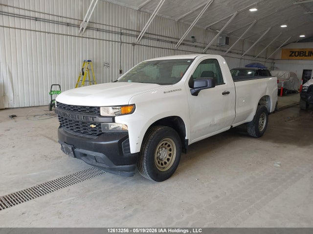 12613256 :رقم المزاد ، 3GCNWAEH7LG252546 vin ، 2020 Chevrolet Silverado C1500 مزاد بيع