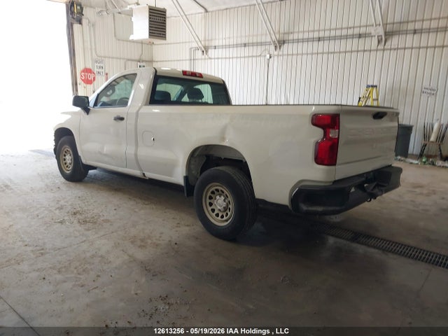 12613256 :رقم المزاد ، 3GCNWAEH7LG252546 vin ، 2020 Chevrolet Silverado C1500 مزاد بيع