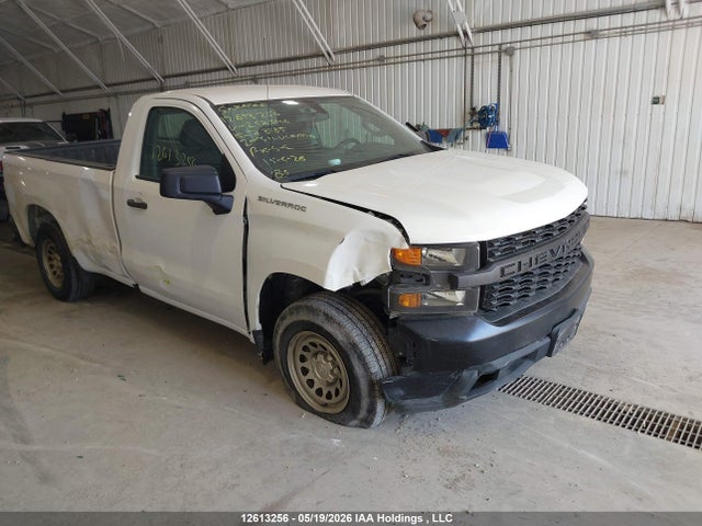 12613256 :رقم المزاد ، 3GCNWAEH7LG252546 vin ، 2020 Chevrolet Silverado C1500 مزاد بيع